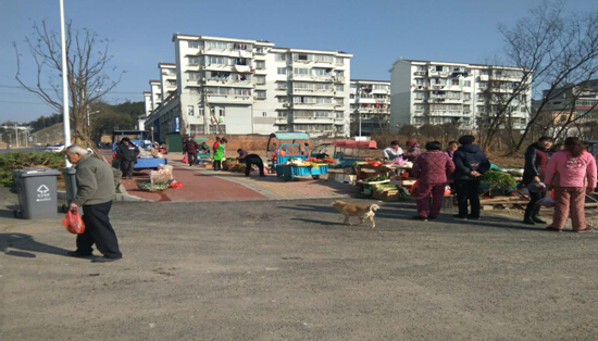 雙創(chuàng)雙修、美化環(huán)境