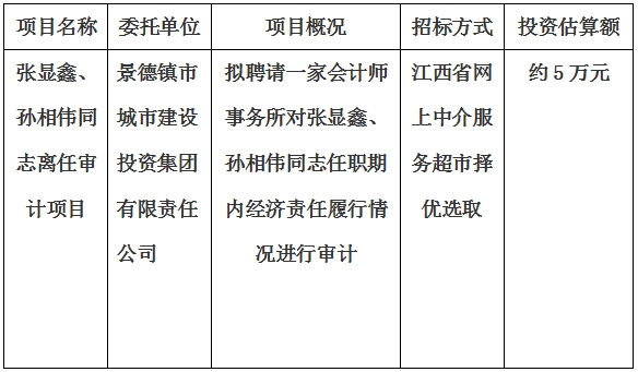 張顯鑫、孫相偉同志離任審計(jì)項(xiàng)目計(jì)劃公告