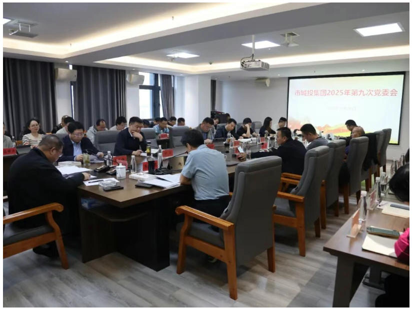 市城投集團召開黨委會傳達學(xué)習(xí)貫徹黨的二十屆四中全會精神